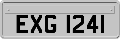 EXG1241