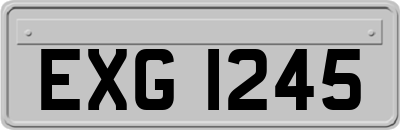 EXG1245