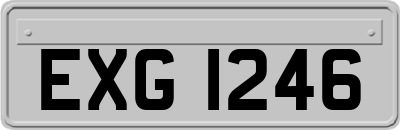 EXG1246