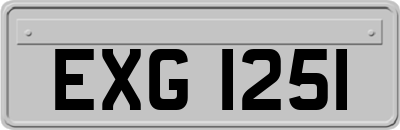 EXG1251