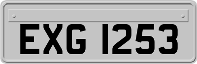 EXG1253