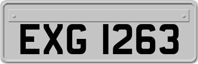 EXG1263