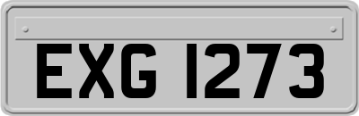 EXG1273