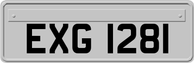EXG1281