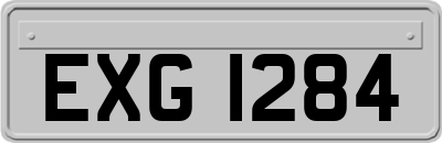EXG1284