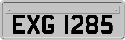 EXG1285