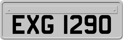 EXG1290