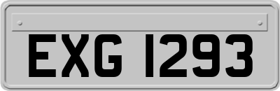 EXG1293