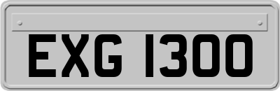 EXG1300
