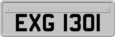 EXG1301