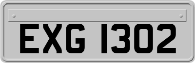 EXG1302