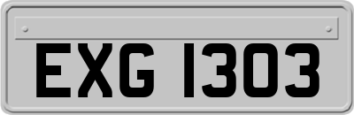 EXG1303