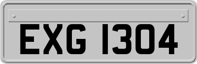 EXG1304