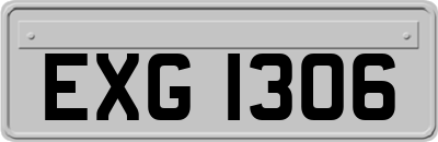 EXG1306