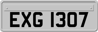 EXG1307