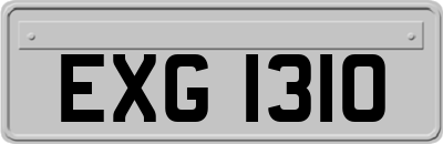 EXG1310