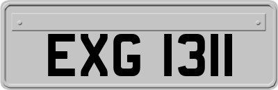 EXG1311