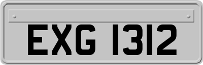 EXG1312