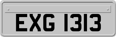 EXG1313