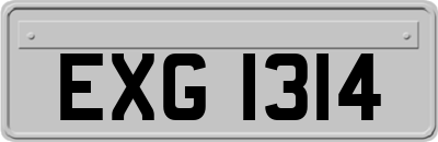 EXG1314
