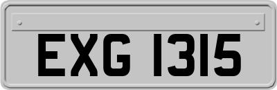 EXG1315
