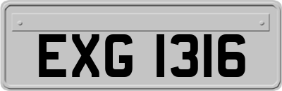 EXG1316