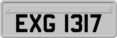 EXG1317