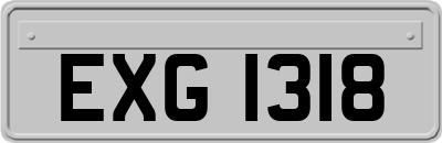 EXG1318