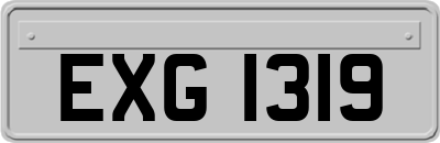 EXG1319