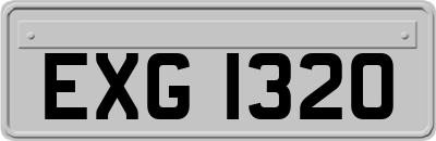 EXG1320