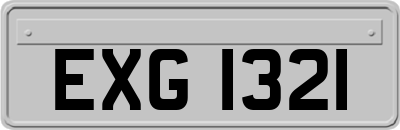 EXG1321