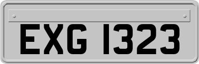 EXG1323