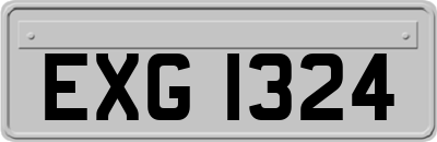 EXG1324