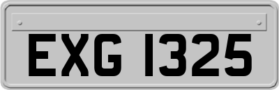 EXG1325