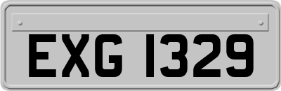 EXG1329