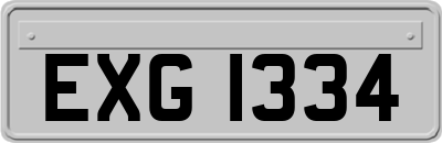 EXG1334