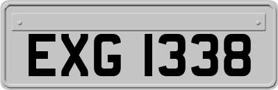 EXG1338