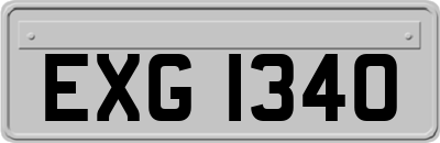 EXG1340