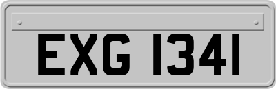 EXG1341