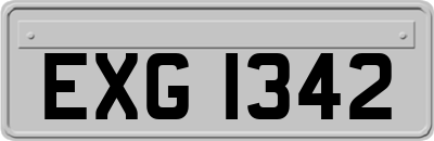 EXG1342
