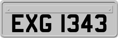 EXG1343
