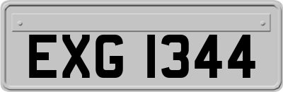 EXG1344