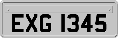 EXG1345