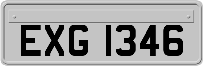 EXG1346