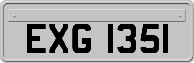 EXG1351