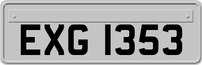 EXG1353