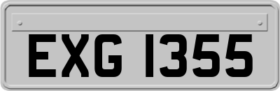 EXG1355