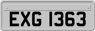 EXG1363