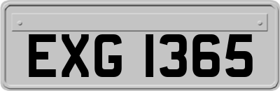 EXG1365