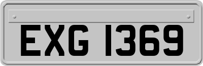 EXG1369